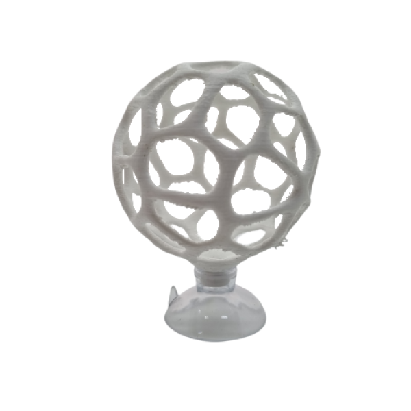 Garnelen Fußball, Moosball, Tangball, Moos, Ball, Aquascaping, Dekoration